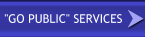 Services- Go Public, Raise Capital, Do Mergers and Acquisitions